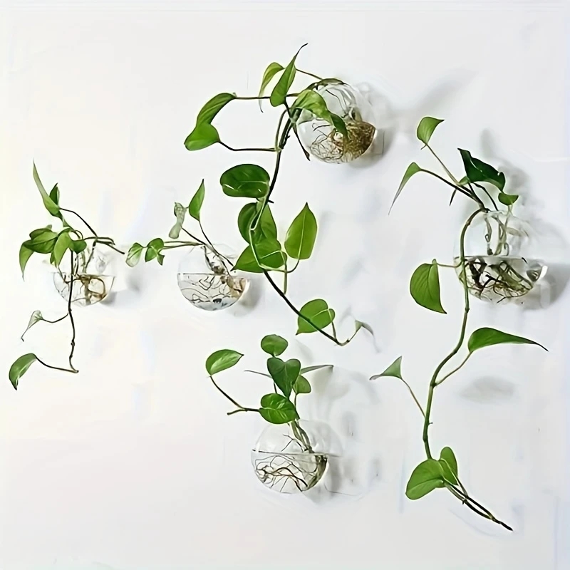 Self-Watering Planter - Настенный стеклянный террариум (2/4/6 шт.) -