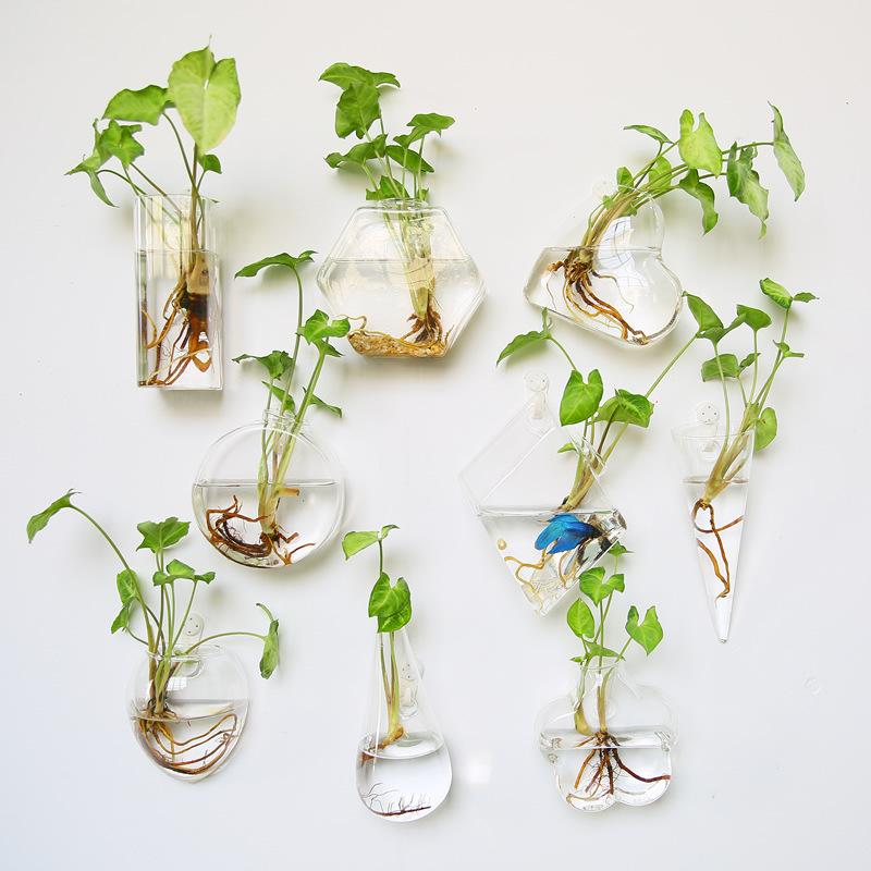 Self-Watering Planter - Настенный стеклянный террариум - самополивающийся гидропонный
