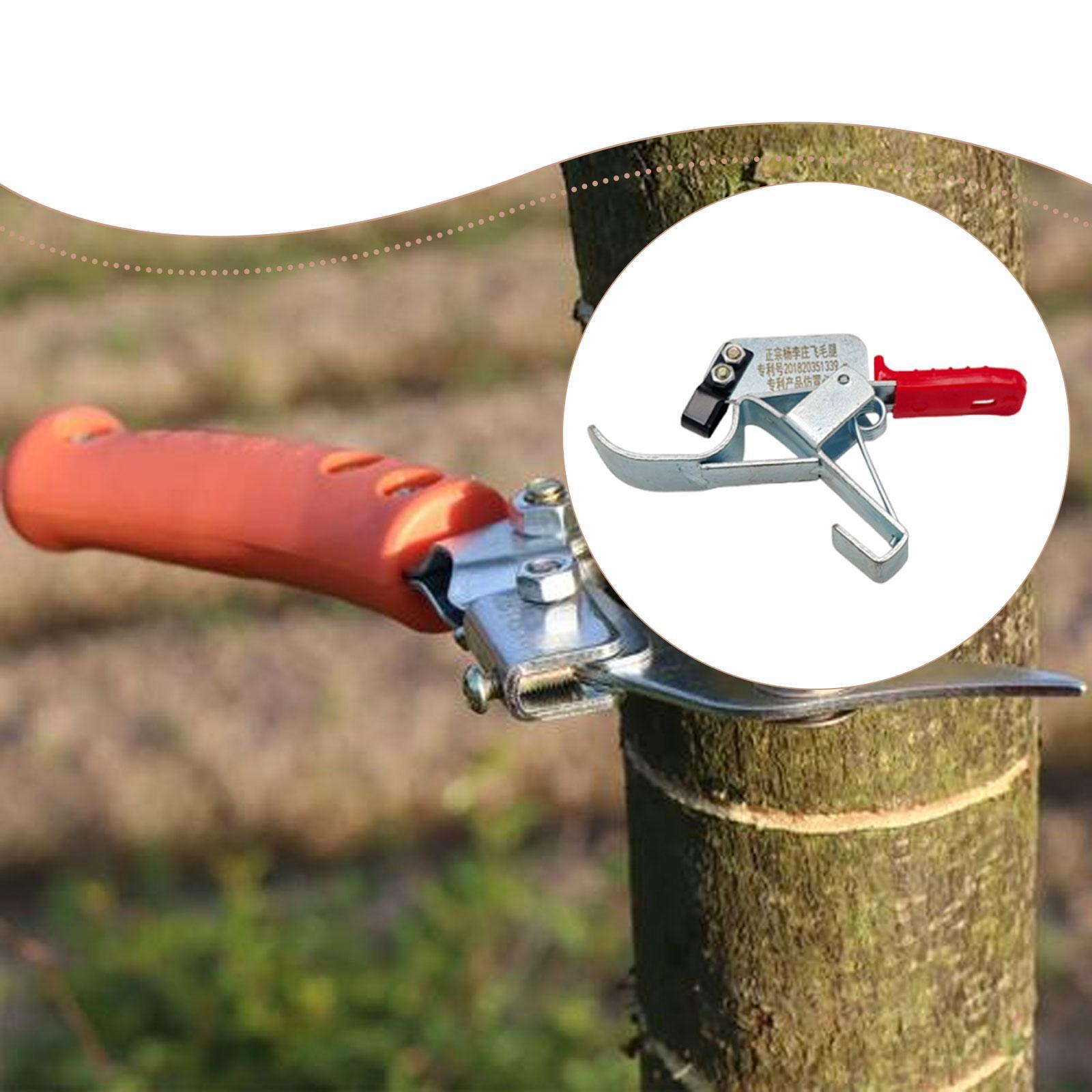Инструмент для обрезки стволов – обзор и цена Gardening Tools Essential