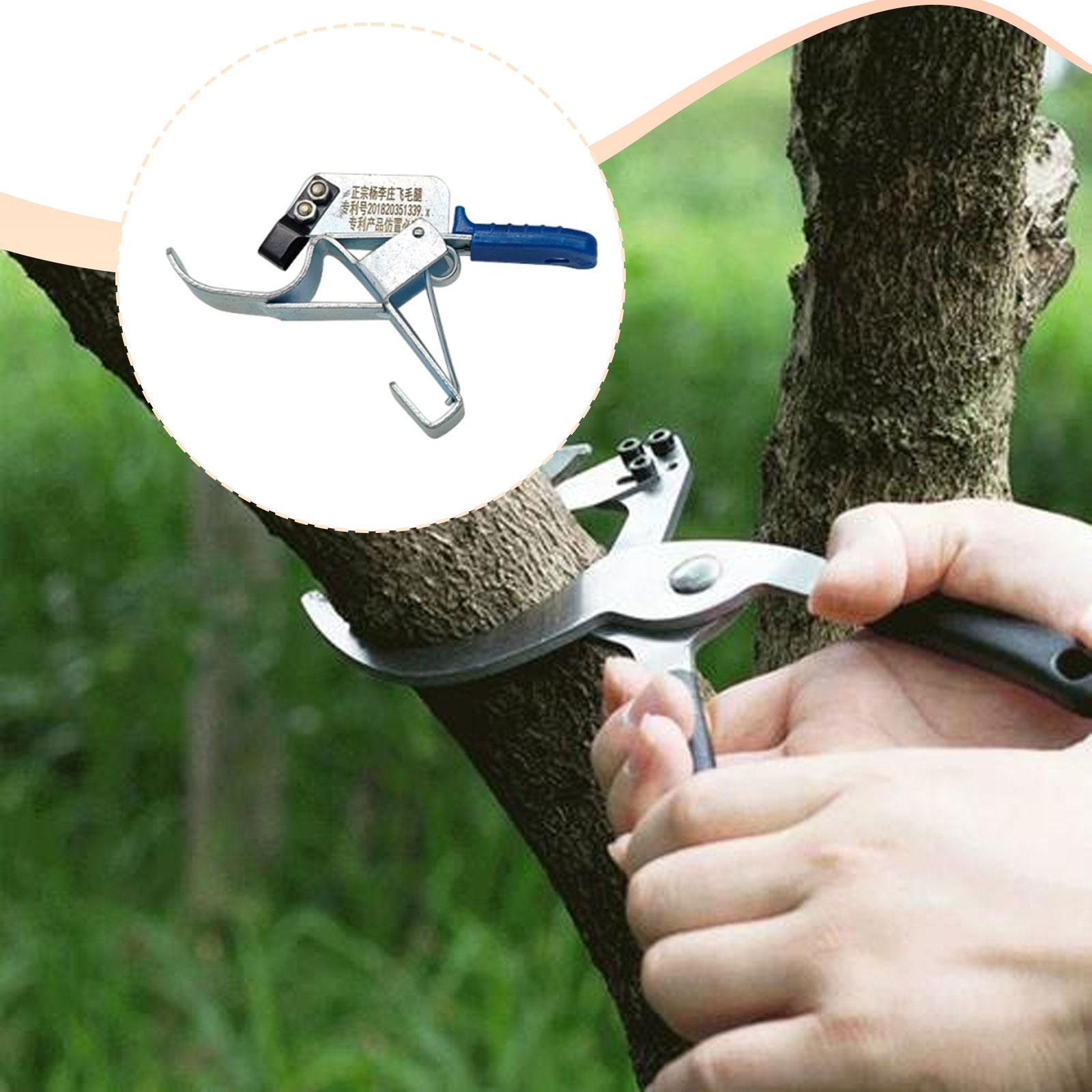 Инструмент для обрезки стволов – обзор и цена Gardening Tools Essential