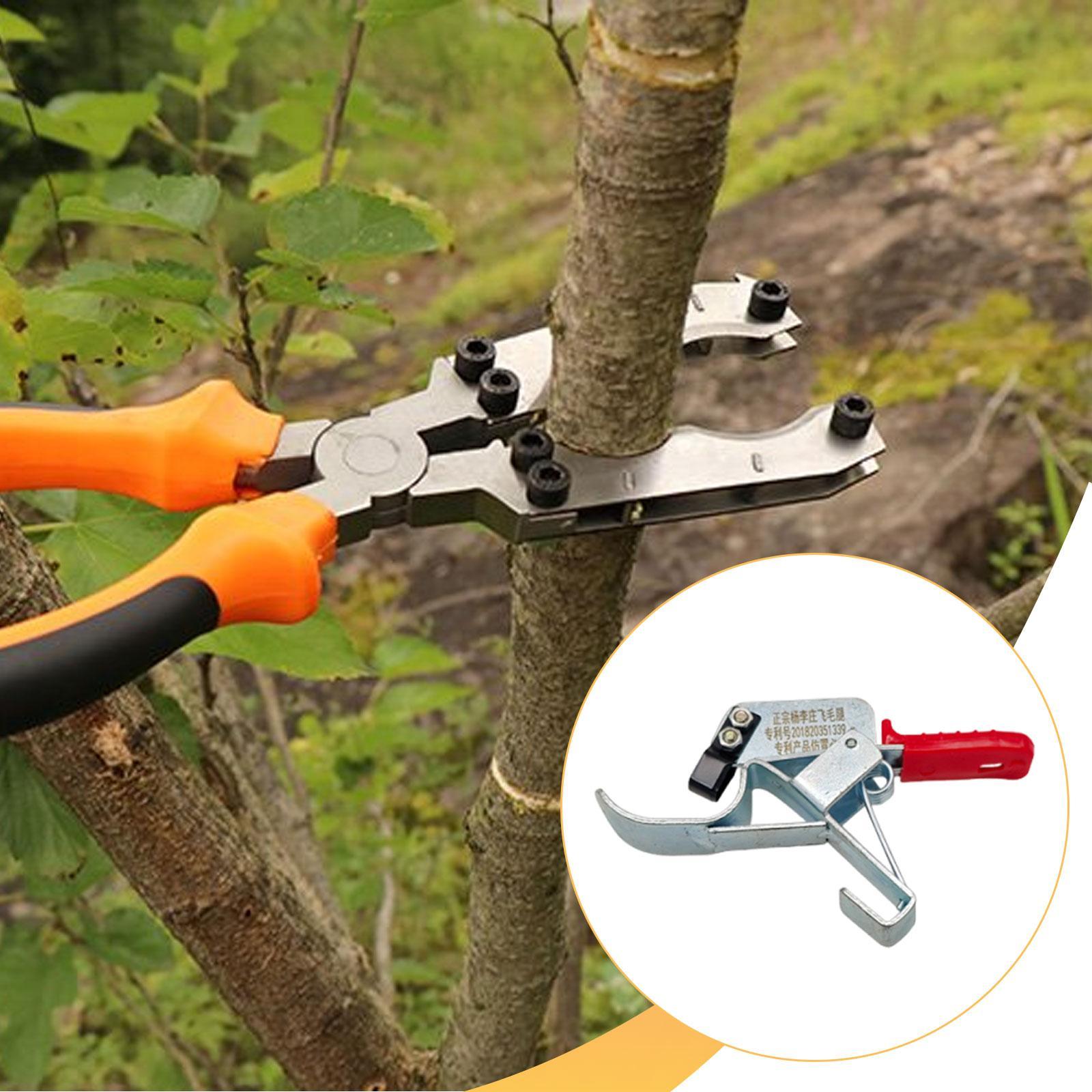 Инструмент для обрезки стволов – обзор и цена Gardening Tools Essential