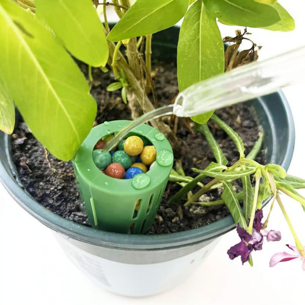 Коробка для удобрений для бонс – обзор и цена Gardening Tools Essential