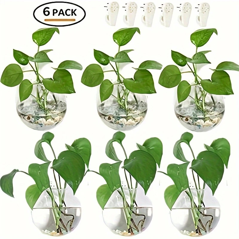Настенный стеклянный террариум – обзор и цена Self-Watering Planter