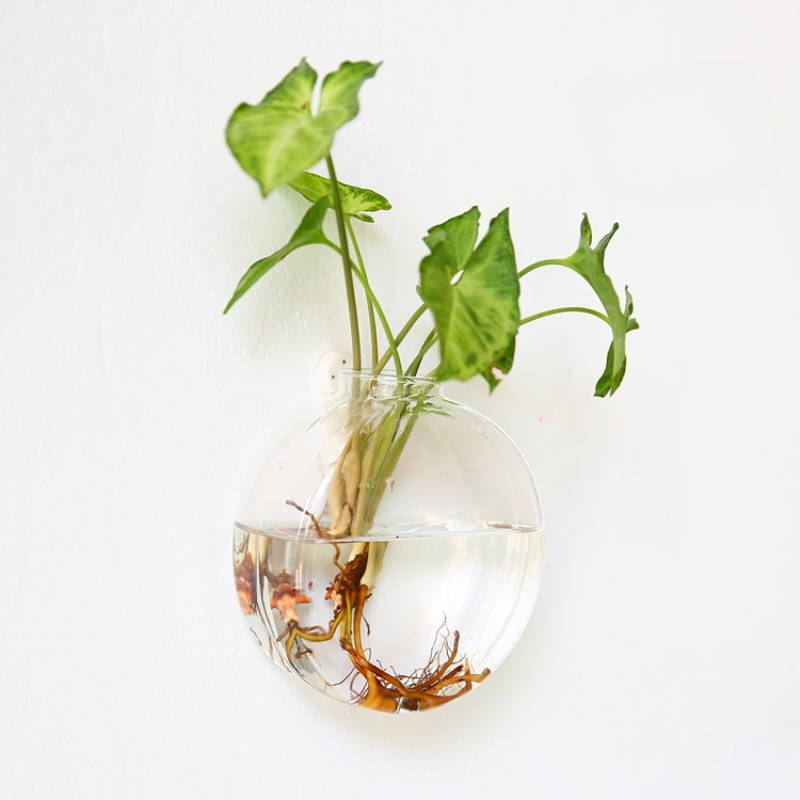 Настенный стеклянный террариум – обзор и цена Self-Watering Planter